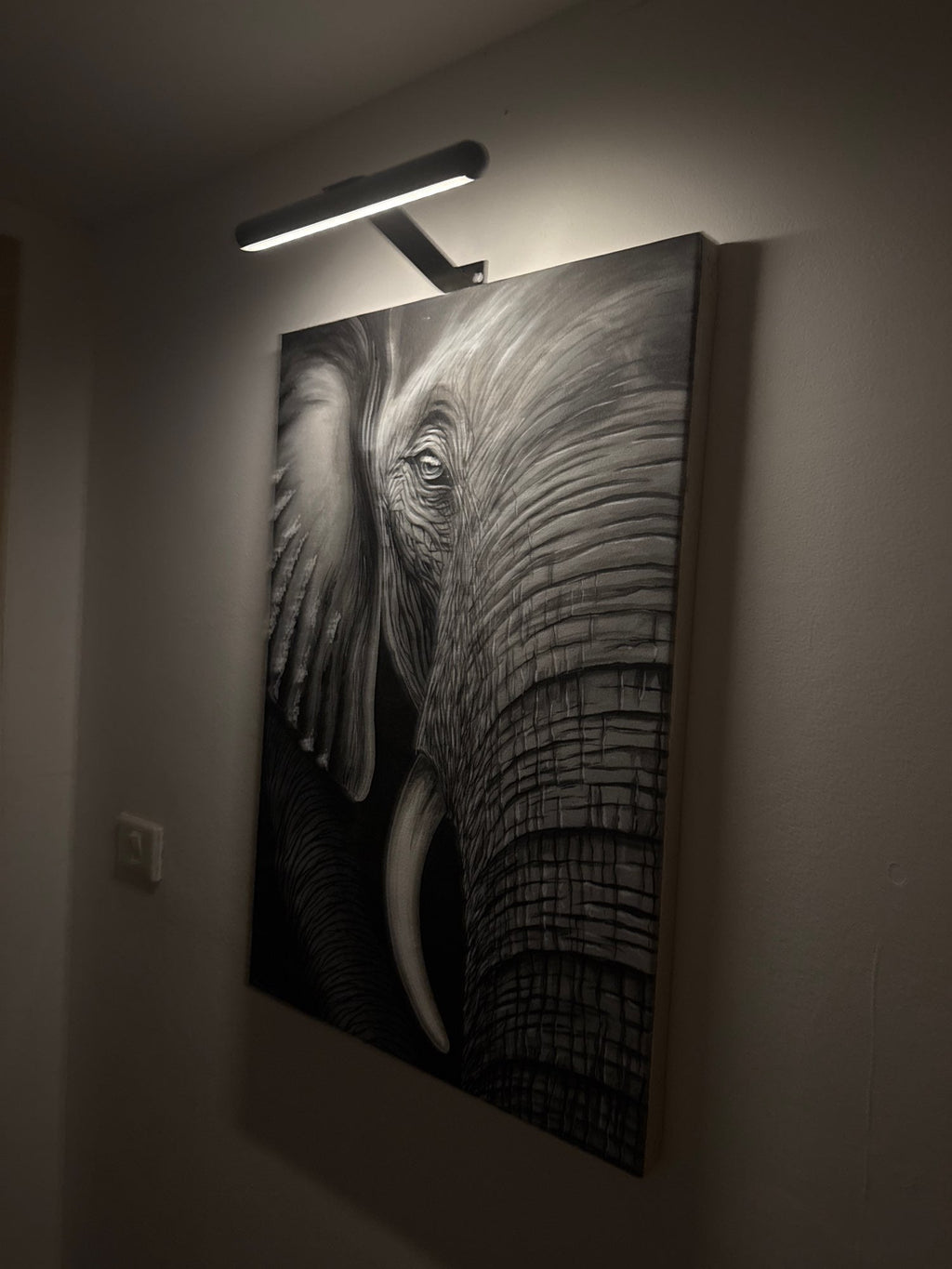 Trådløs LED-billedlampe