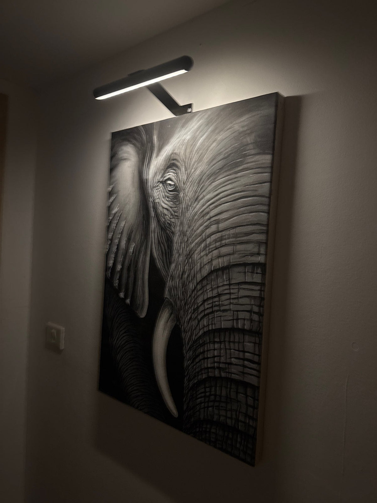 Trådløs LED-billedlampe