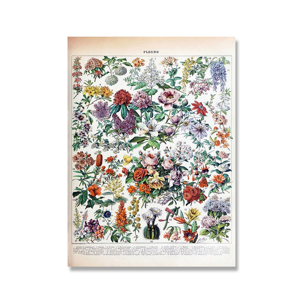 Samling af vintage lærredstryk med botaniske motiver