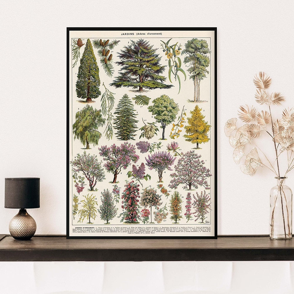 Samling af vintage lærredstryk med botaniske motiver