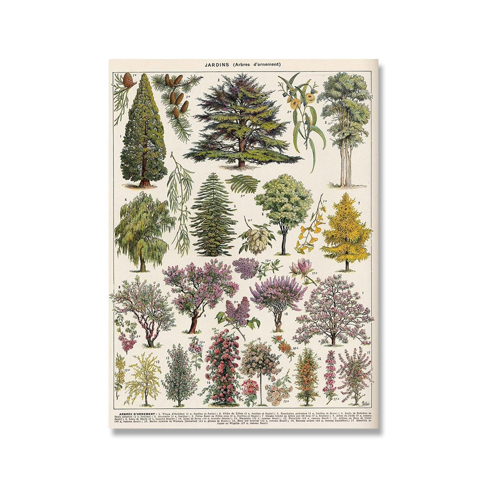 Samling af vintage lærredstryk med botaniske motiver