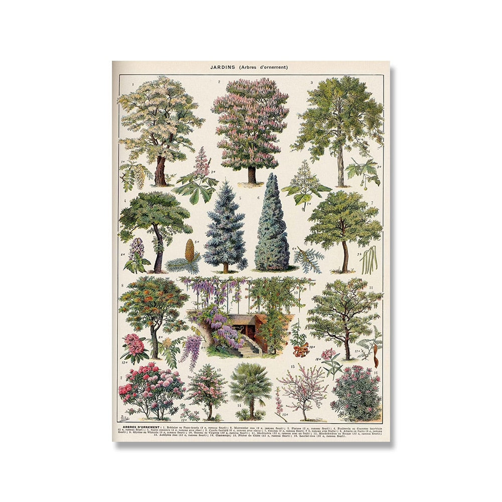 Samling af vintage lærredstryk med botaniske motiver