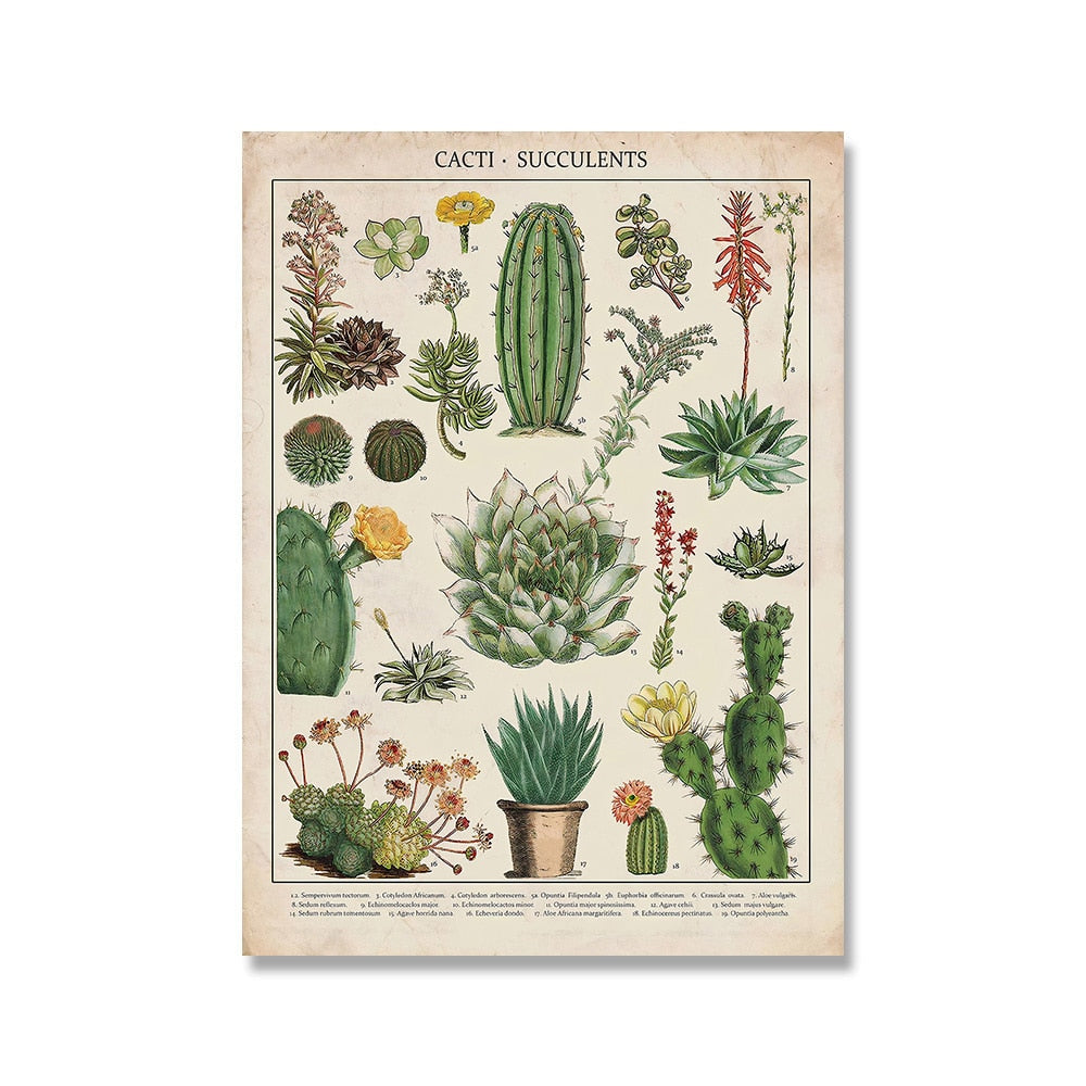 Samling af vintage lærredstryk med botaniske motiver