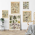 Samling af vintage lærredstryk med botaniske motiver