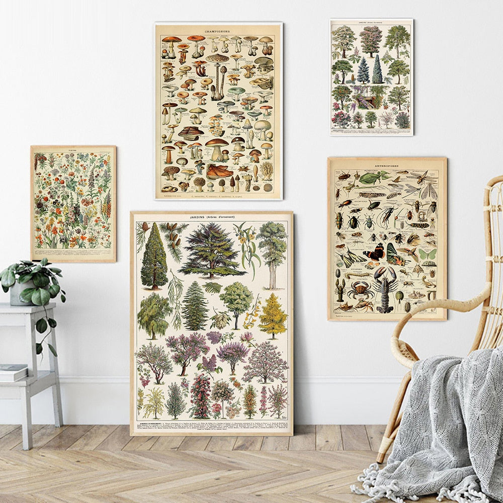 Samling af vintage lærredstryk med botaniske motiver
