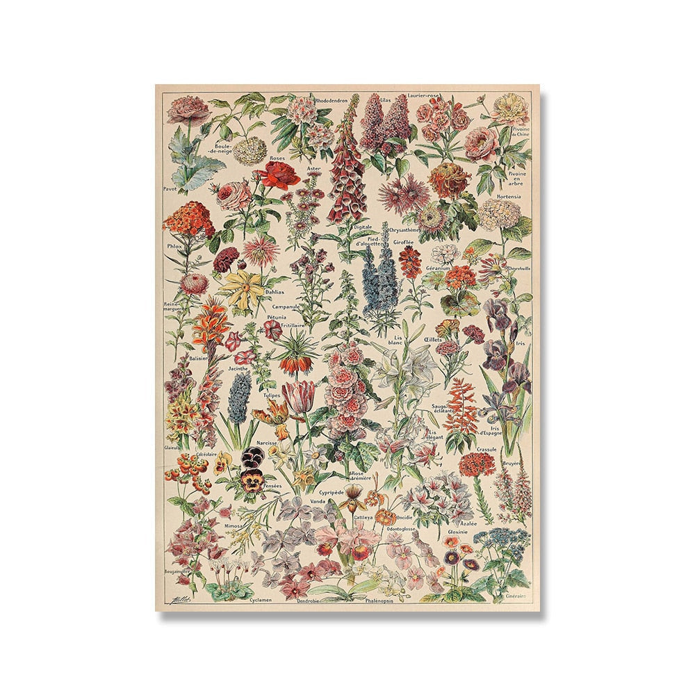Samling af vintage lærredstryk med botaniske motiver