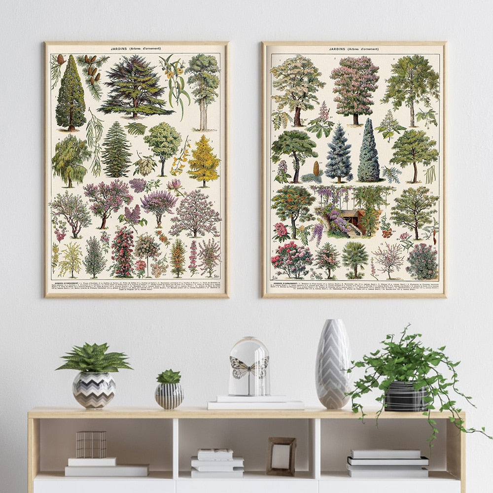 Samling af vintage lærredstryk med botaniske motiver